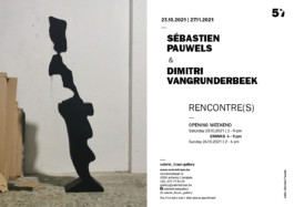 exhibition, sebastien, pauwels, art 