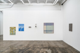 sebastien pauwels, galerie fermay