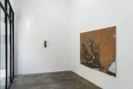 art exhibition, sebastien pauwels