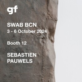 swab art fair Barcelona sebastien pauwels 